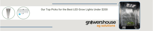Our Top Picks for the Best LED Grow Lights Under $200