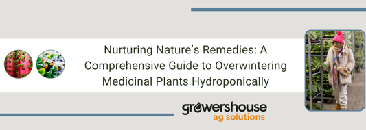 Nurturing Nature’s Remedies: A Comprehensive Guide to Overwintering Medicinal Plants Hydroponically