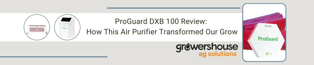 ProGuard DXB 100 Review: How This Air Purifier Transformed Our Grow