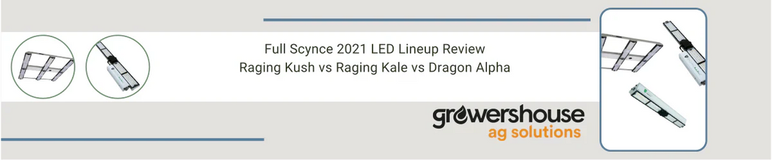 Full Scynce 2021 LED Lineup Review - Raging Kush vs Raging Kale vs Dragon Alpha