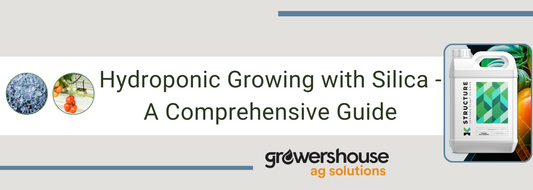 Hydroponic Growing with Silica - A Comprehensive Guide