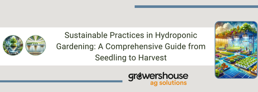 Sustainable Practices in Hydroponic Gardening: A Comprehensive Guide from Seedling to Harvest