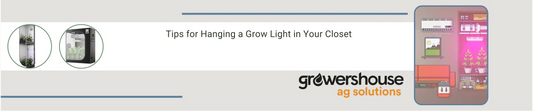 Tips for Hanging a Grow Light in Your Closet