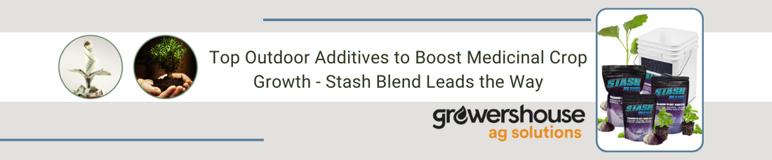 Top Outdoor Additives to Boost Medicinal Crop Growth - Stash Blend Leads the Way