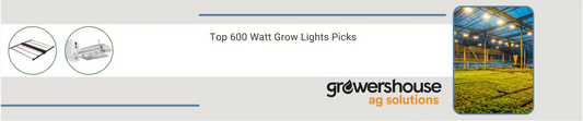 Top 600 Watt Grow Lights Picks