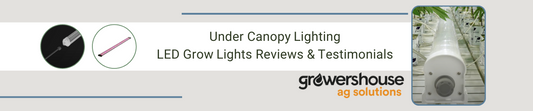 Under Canopy Lighting – LED Grow Lights Reviews & Testimonials