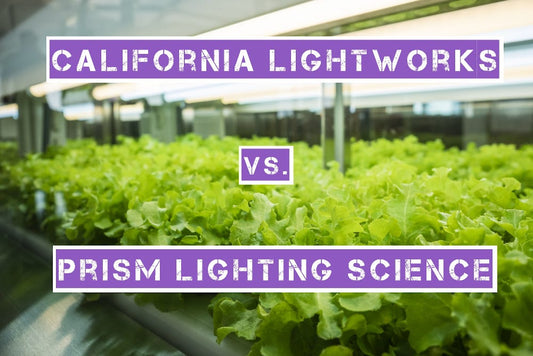 california lightworks led compared vs prism lighting science led