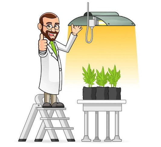 led grow light faq