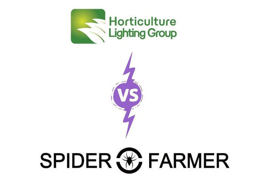 HLG 600 R-Spec vs Spider Farmer SF7000 LED Comparison