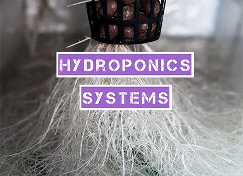 Hydroponic Systems for Small Grow Tents