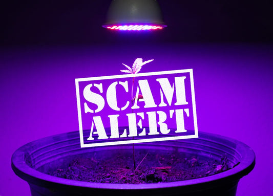 5 Ways to Avoid Getting Ripped Off on LED Grow lights