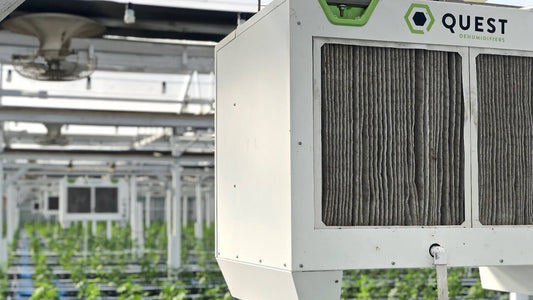 Dehumidifier for Grow Rooms