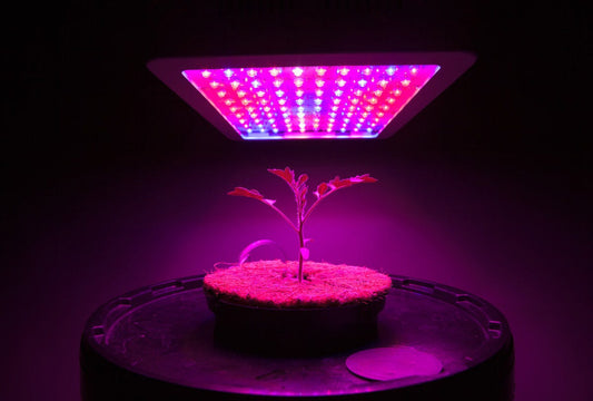 Top LED Grow Lights for Small Grow Tents, Small Spaces, Closets