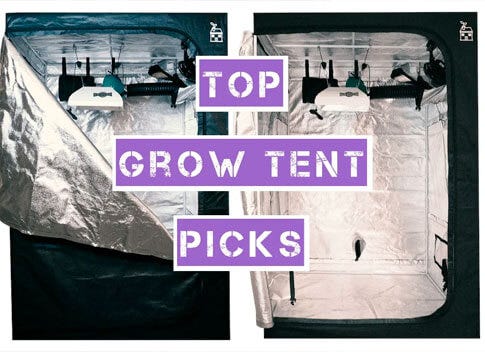 Top Grow Tent Picks