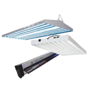 4 Foot Fixtures