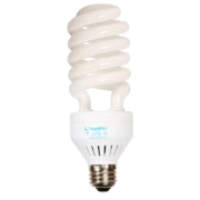 Compact Fluorescents (CFL)