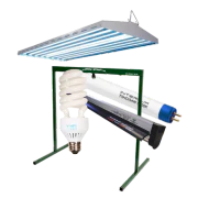 Fluorescent Lights