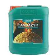 Enzymes