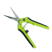 Scissors + Pruners