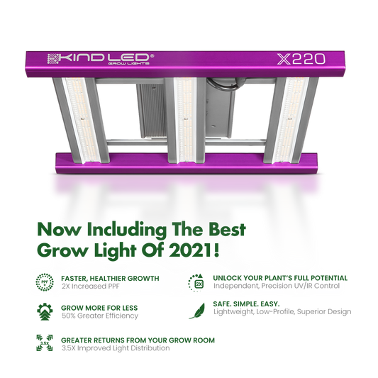 SuperStar Stealth Grow Boxes LED View
