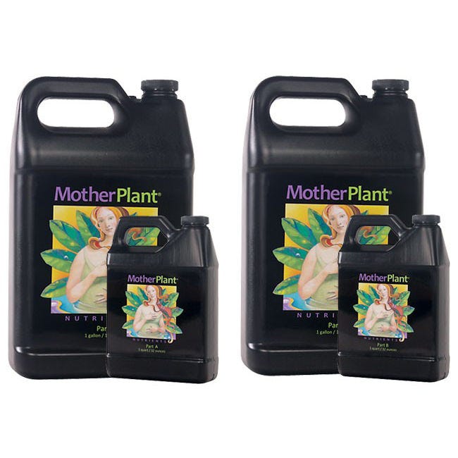 Mother Plant B 1-1-3 -- Quart
