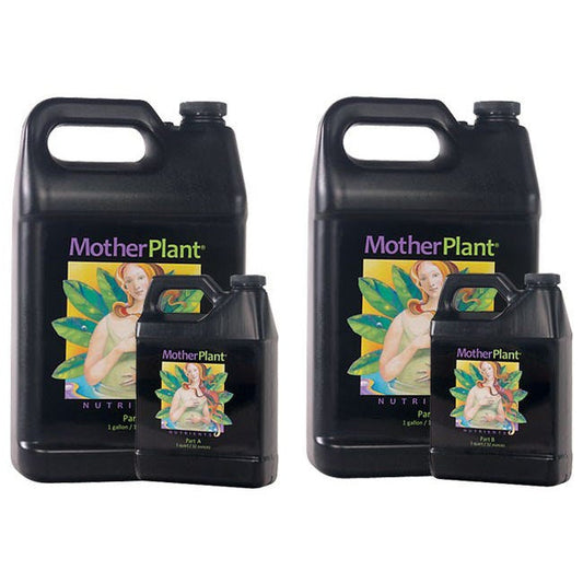 Mother Plant B 1-1-3 -- Quart