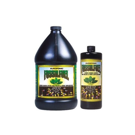 Fossil Fuel -- Quart