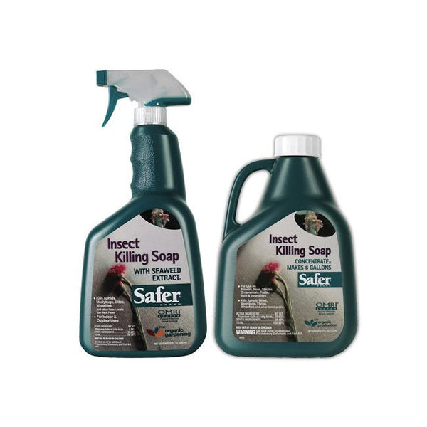 insecticidal soap safer Safer Insect Killing Soap Concentrate 16 oz