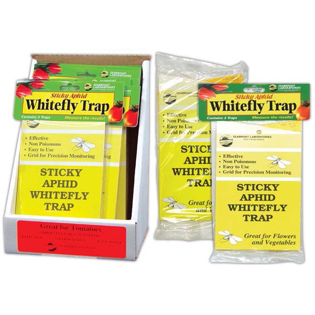 Sticky Whitefly Traps -- 5 Pack