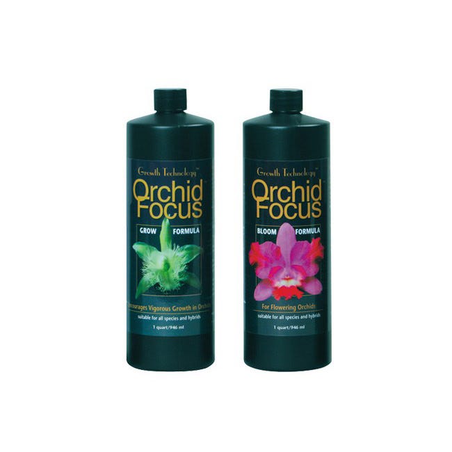 Orchid Focus Grow - Special Order -- 32 oz
