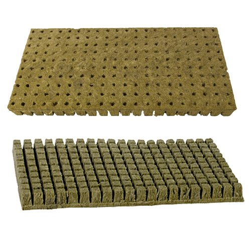 Grodan Stonewool A-OK Plugs 1 inch X 1 inch