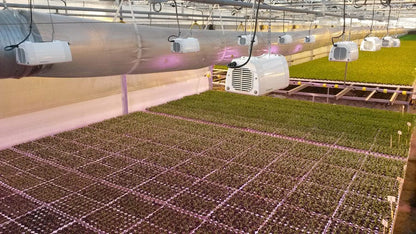Heliospectra LX602C LED Grow Light