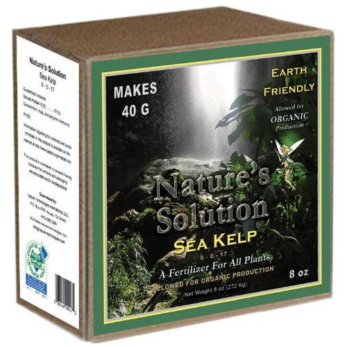 Organic Sea Kelp 8oz