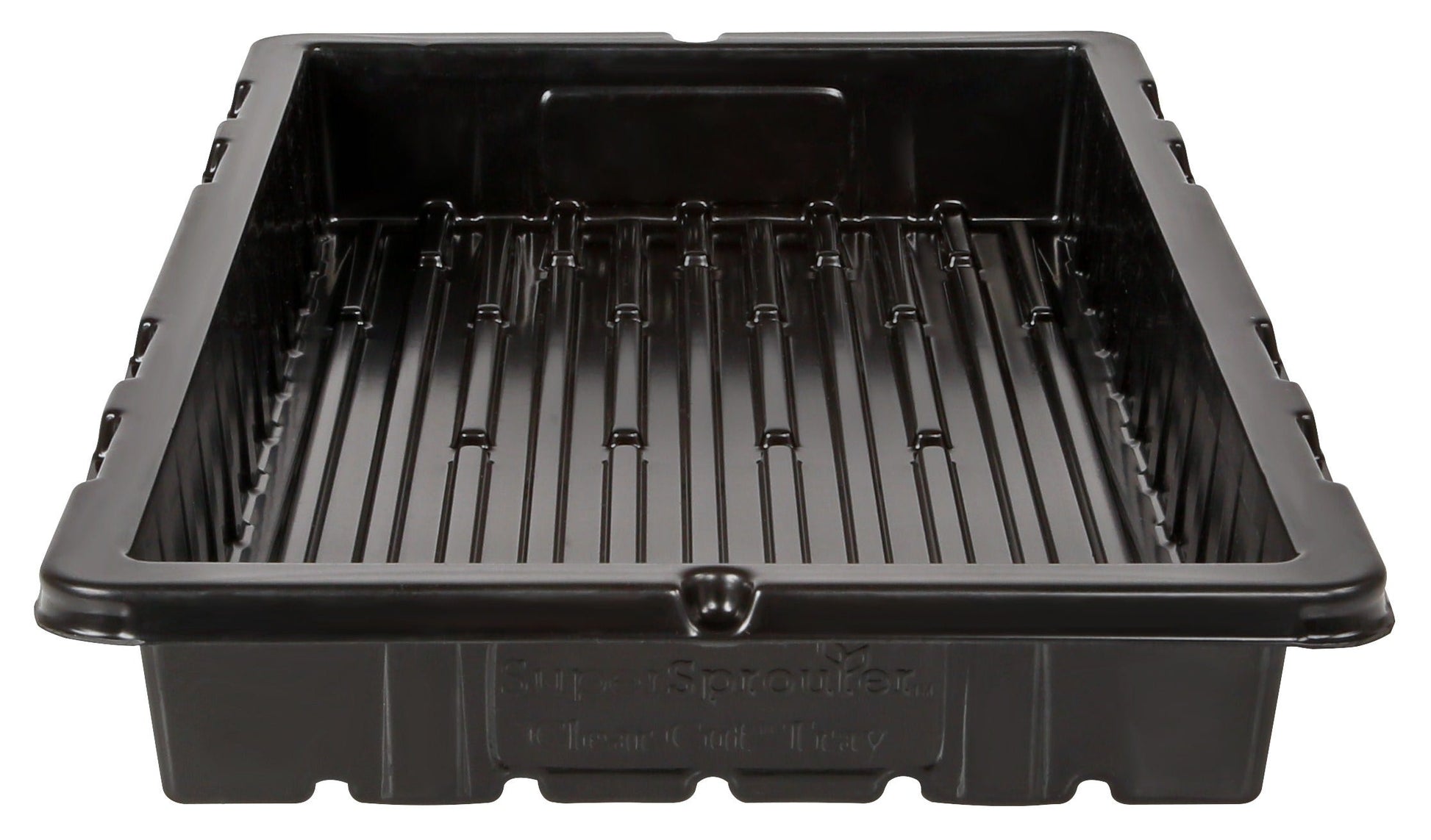 Super Sprouter - Clear Cut - Custom Tray No Holes - End