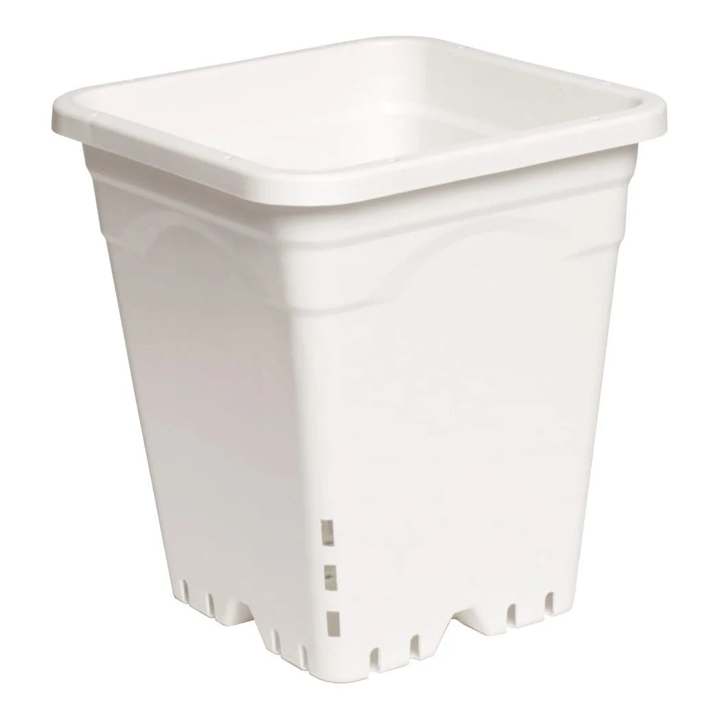 9 inch x 9 inch Square White Pot, 10 inch Tall, 24 per case - 9 x 9 inch square white pot
