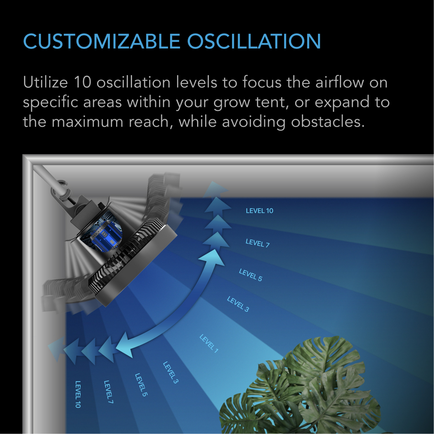 AC INFINITY CLOUDRAY S6 customizable oscillation