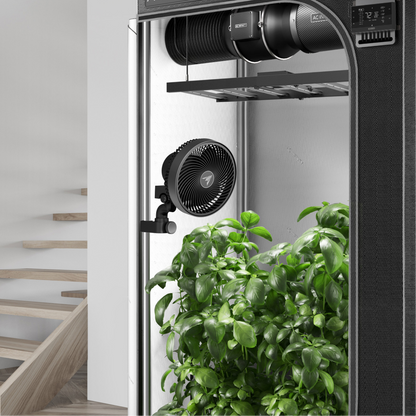 AC INFINITY CLOUDRAY S6 in action