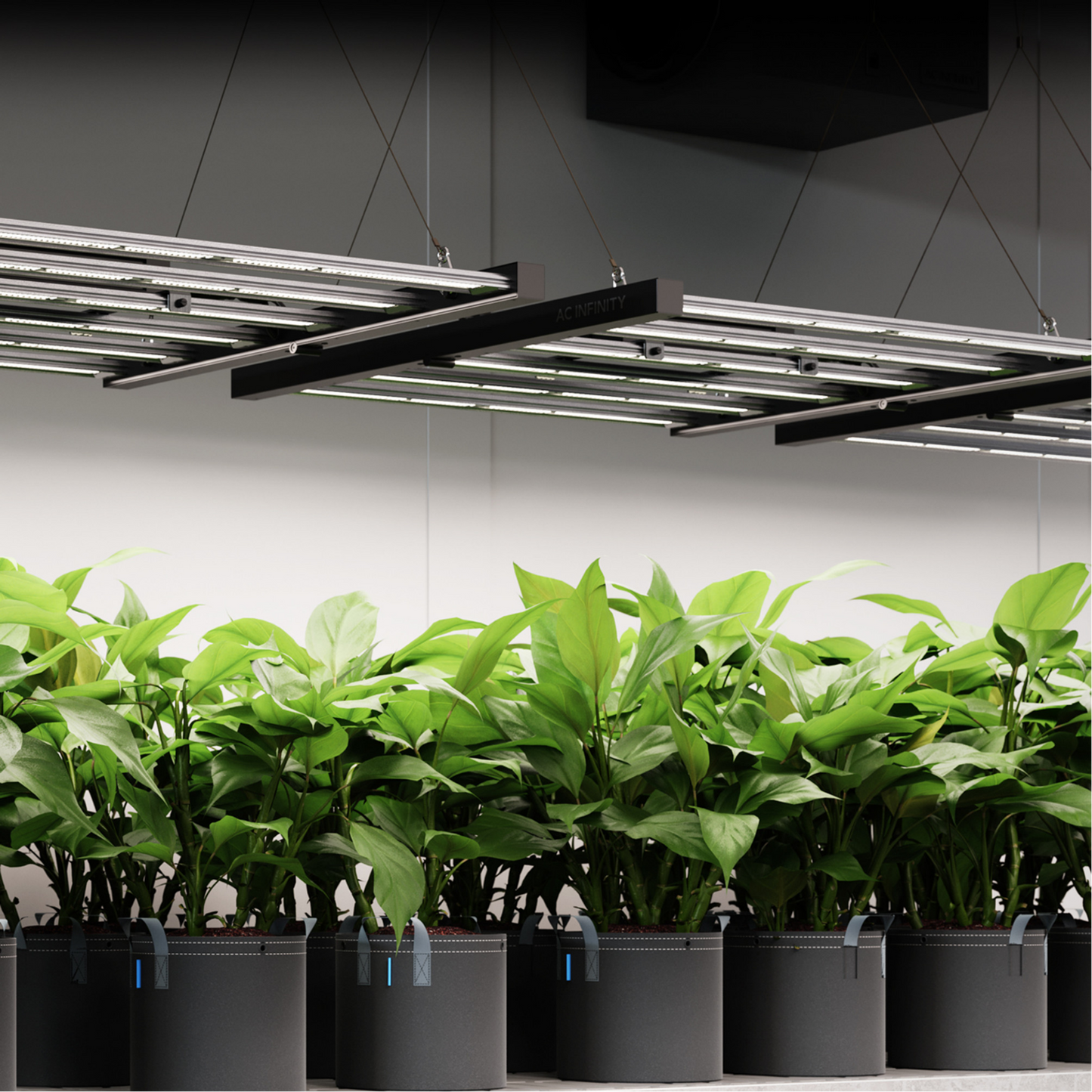 AC Infinity IONFRAME EVO10 in action