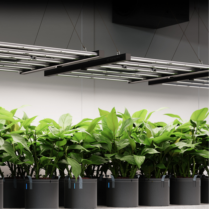 AC Infinity IONFRAME EVO10 in action