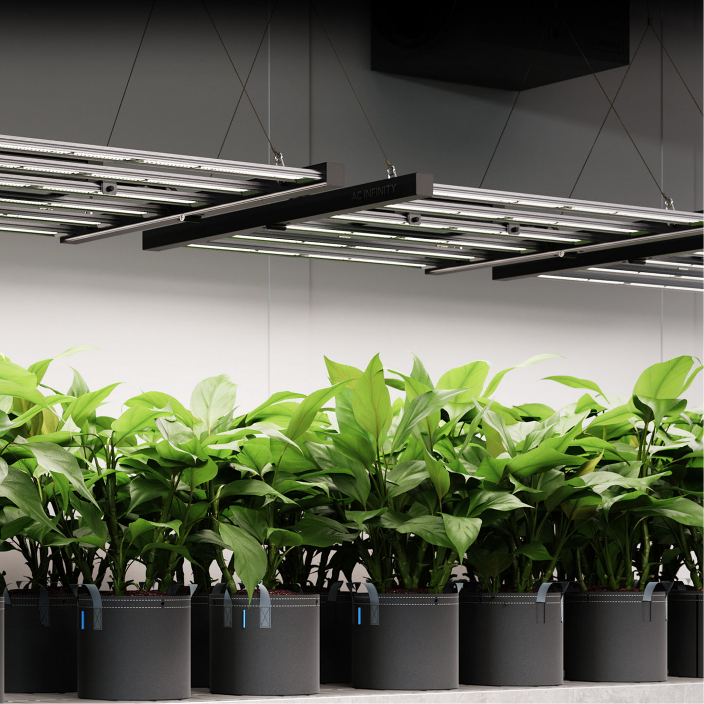 AC Infinity IONFRAME EVO8 in action