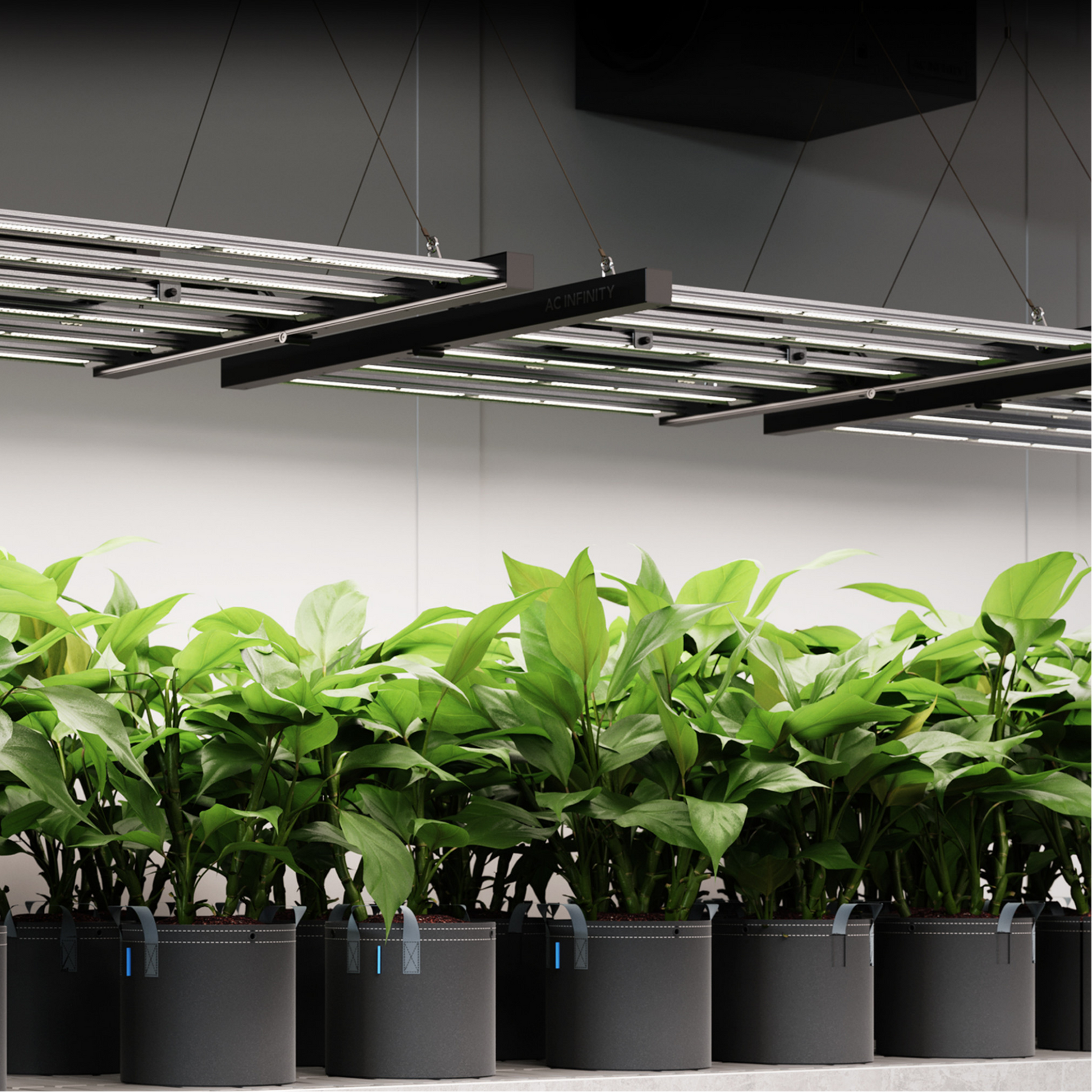 AC Infinity IONFRAME EVO8 in action