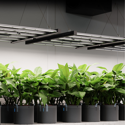 AC Infinity IONFRAME EVO8 in action