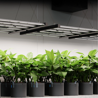 AC Infinity IONFRAME EVO8 in action 5 X 5 Ff