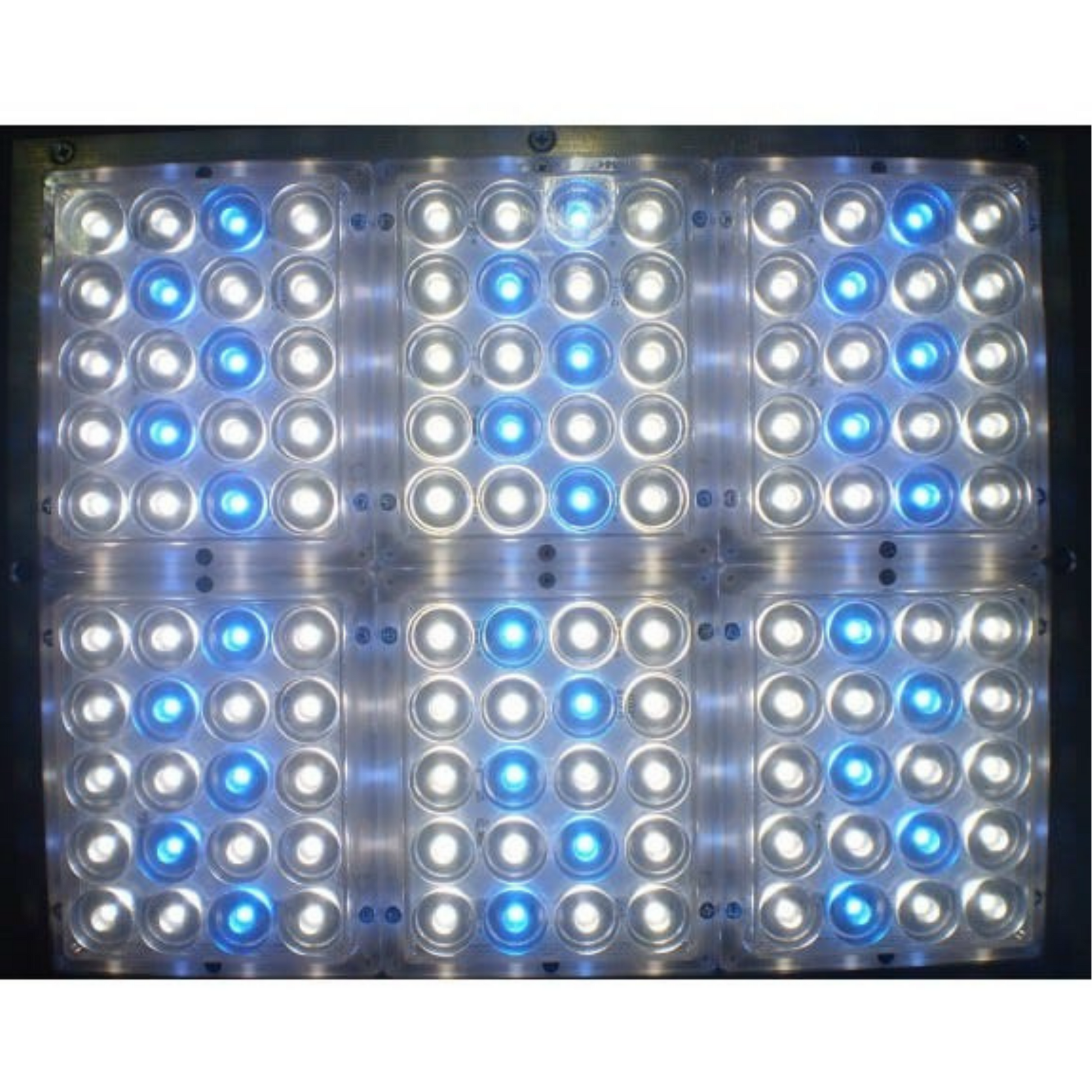 Apache Tech AT120WB White and Blue LEDs white light