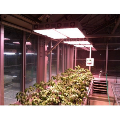 Apache Tech AT600 indoor grow room