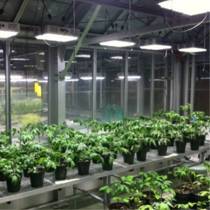 Apache Tech LED White and Red 3_2 AT200 arrange