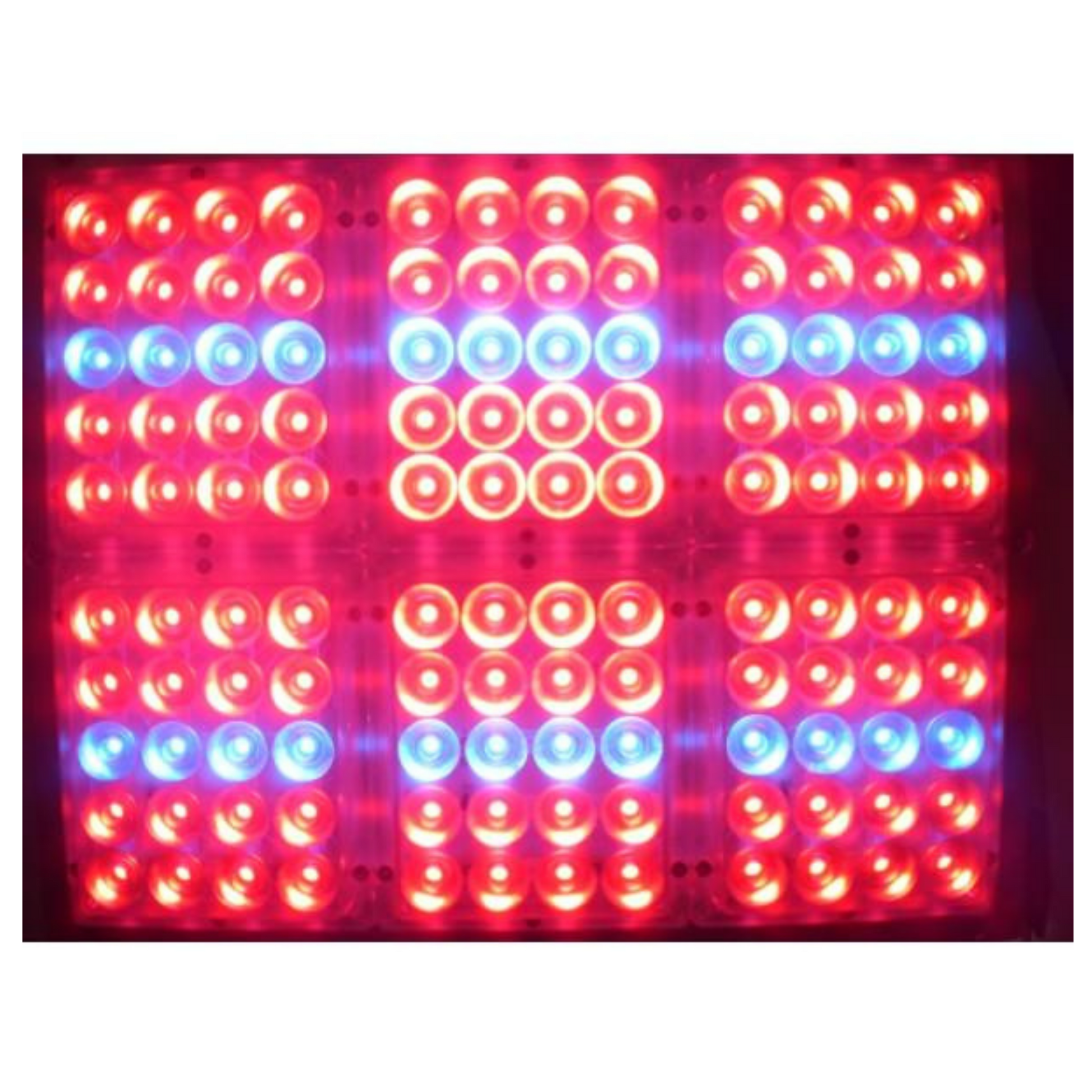 Apache Tech Red and Blue LEDs AT120RB in action