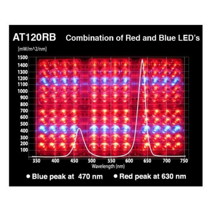 Apache Tech Red and Blue LEDs AT120RB main image
