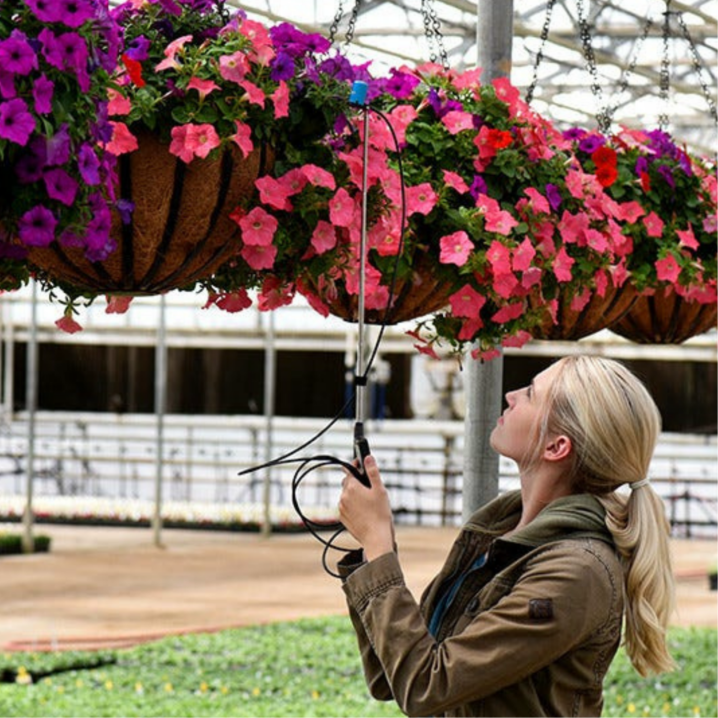Apogee PAR PPFD Quantum Meter and Sensor MQ-500 in GreenHouse