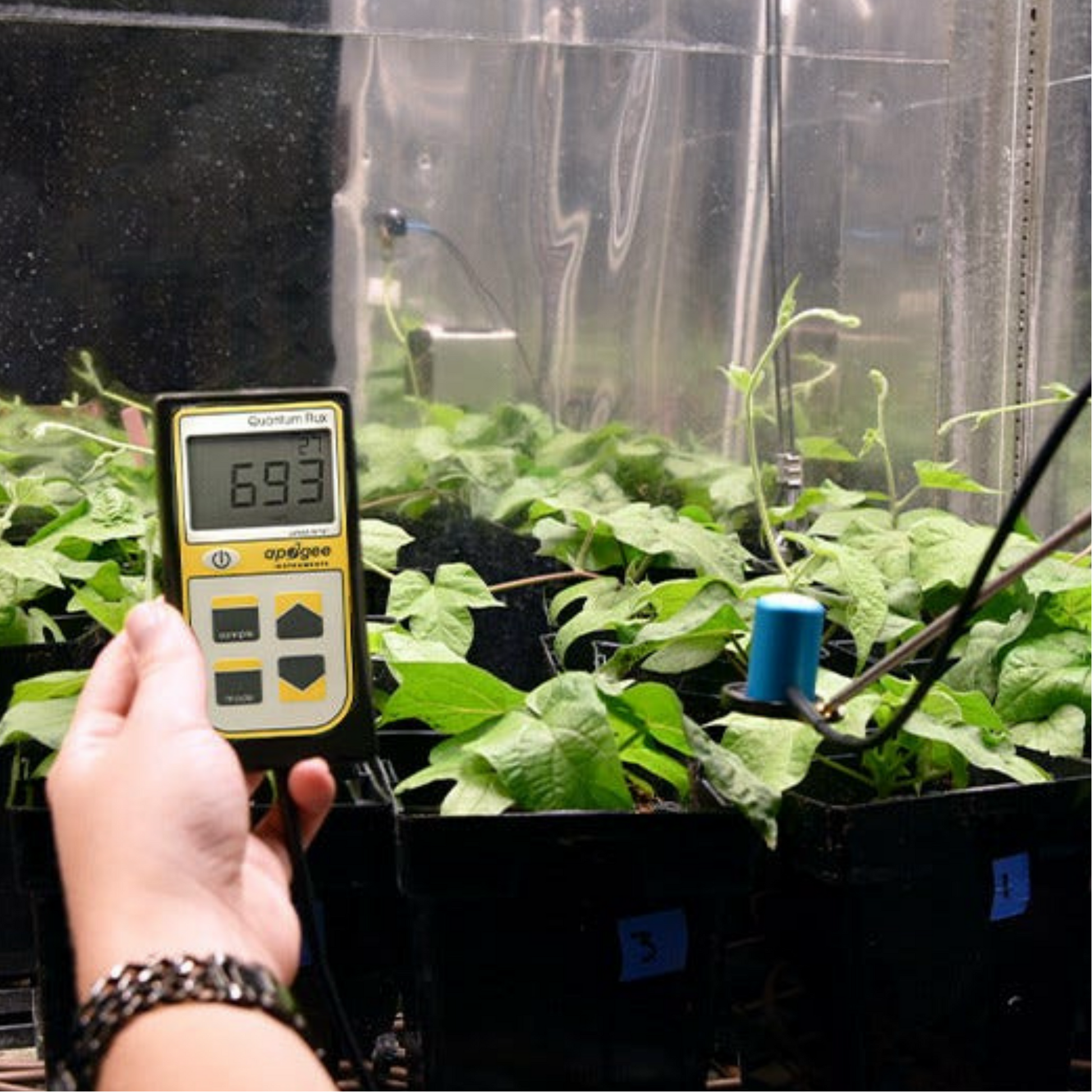 Apogee PAR PPFD Quantum Meter and Sensor MQ-500 in Grow Tent